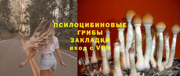гидра Алексин