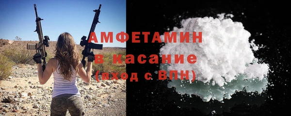 крисы Ростов