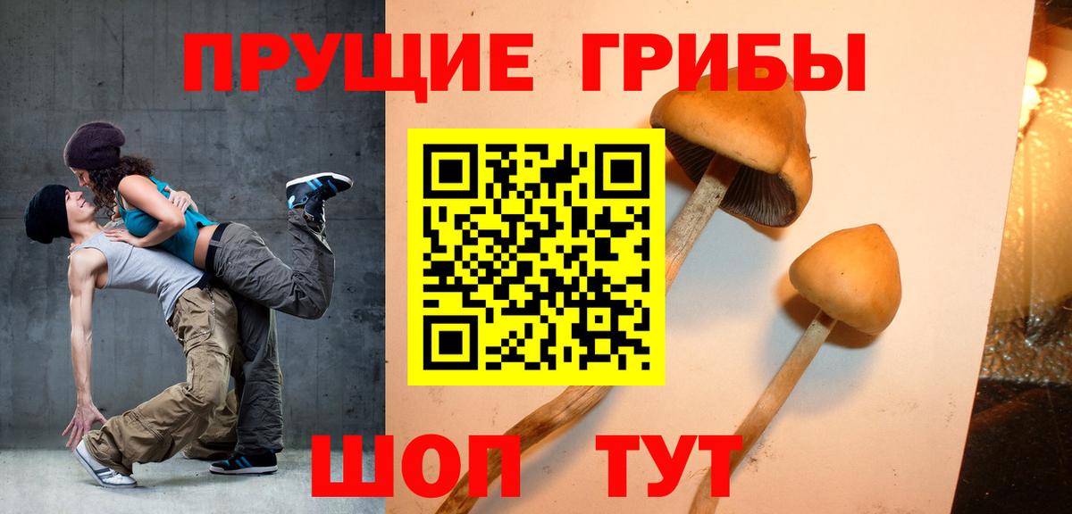 Галлюциногенные грибы мицелий  Галлюциногенные грибы GOLDEN TEACHER  Апшеронск  Вход с VPN 